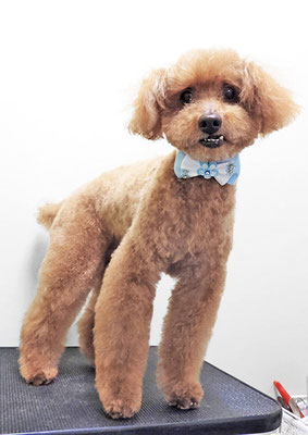 前田ソルファちゃん