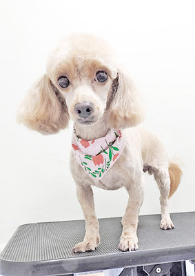 中村てぃーちゃん