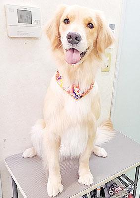 片川サラちゃん