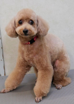 小野ハナちゃん