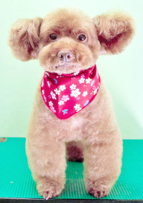 大牟礼あずきちゃん