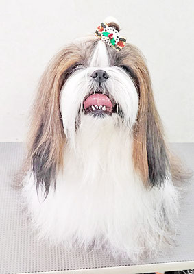 眞邉モモちゃん