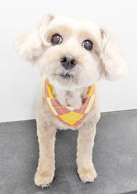 福島アリスちゃん