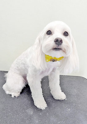 赤崎ルナちゃん