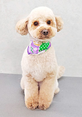 福島ベルちゃん