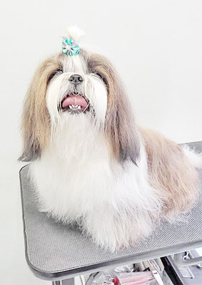 眞邉モモちゃん