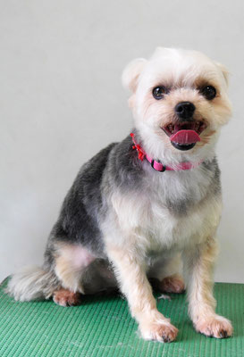 岡元ベリーちゃん