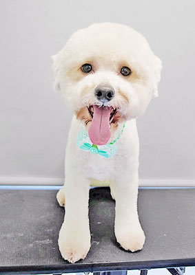 石元ぽちゃちゃん