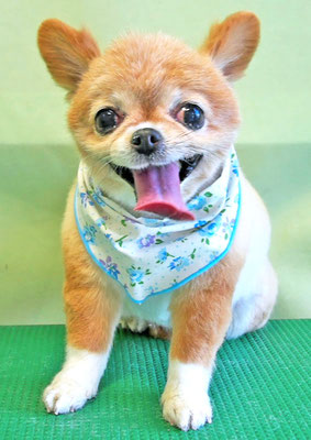 川田オカンちゃん