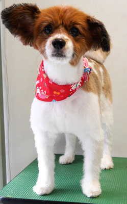 玉利ユズちゃん