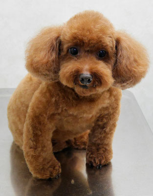 迫田リクちゃん