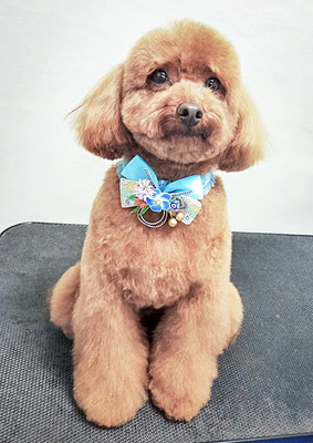 古市リンちゃん