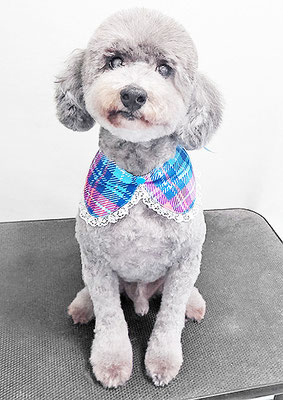 橋口最中ちゃん