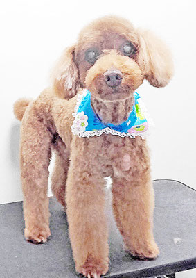 佐々木マルちゃん