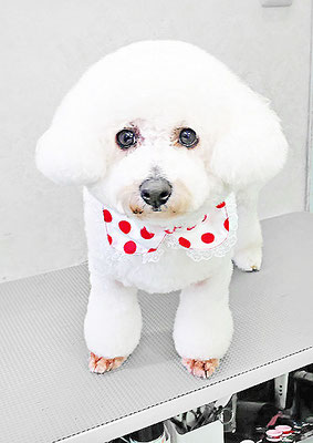 内田おもちちゃん