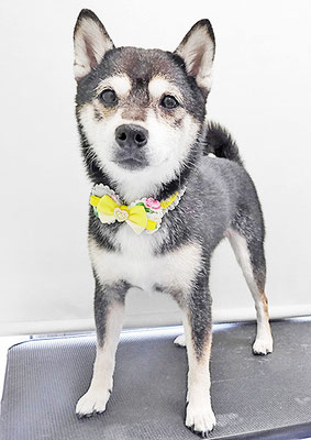 岩﨑レイちゃん