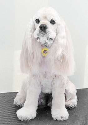 福富ベリーちゃん