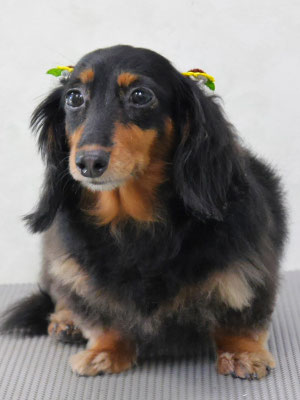 山下マルチョンちゃん