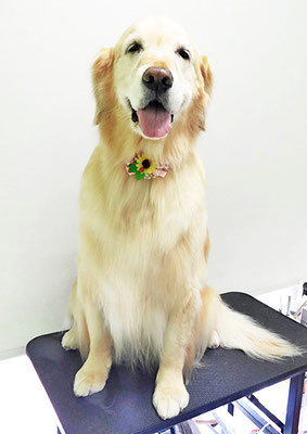 美代ジューンちゃん