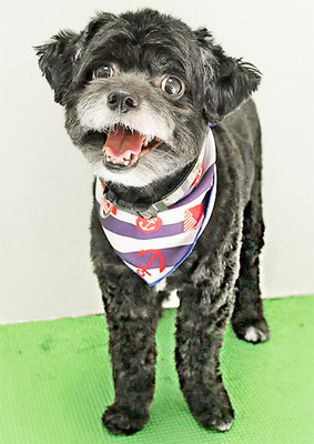 濵田リヨンちゃん