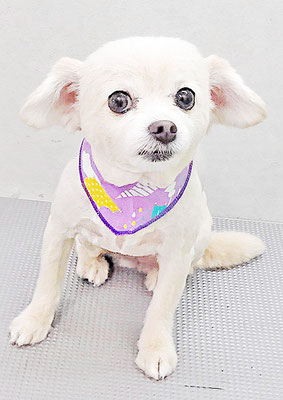 酒井ヒナちゃん