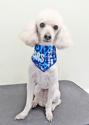 室ポン太ちゃん