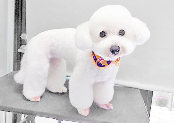 内田おもちちゃん