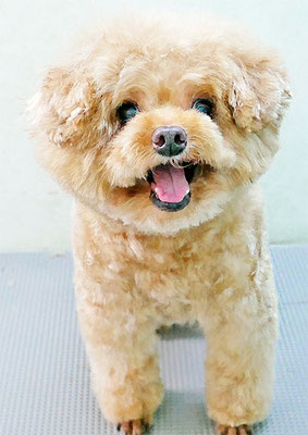 佐藤クルミちゃん