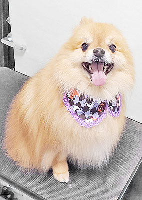 大井ポンタちゃん