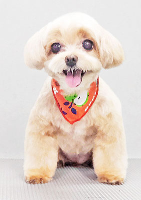 永濱サラちゃん