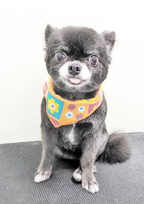 森崎シロちゃん