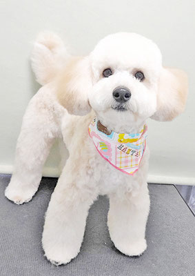 長谷ラナちゃん