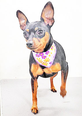 宮下ティノちゃん