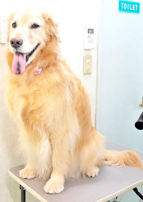 菊川チェリーちゃん