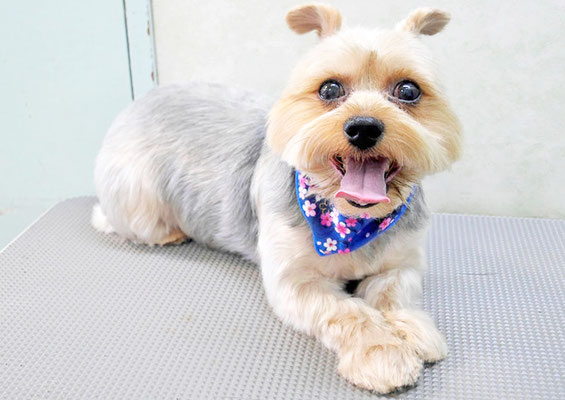 山下レオちゃん