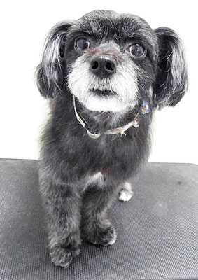 濵田リヨンちゃん