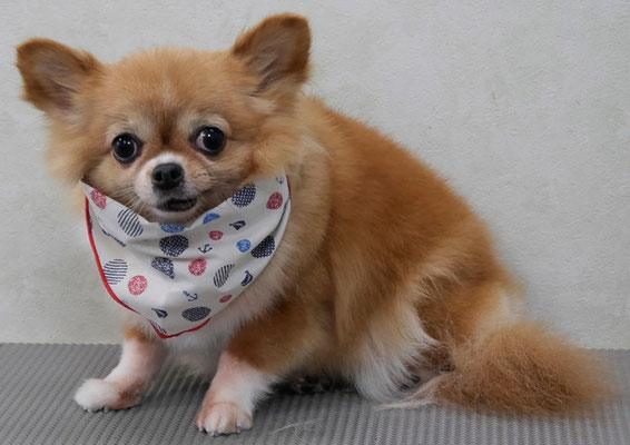 川田オカンちゃん