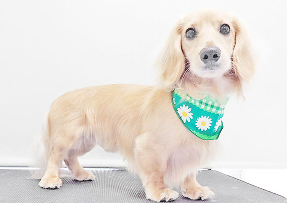 河野元気ちゃん