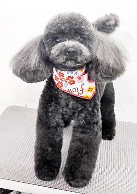 石田おはぎちゃん