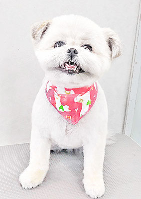 太崎ちゅらちゃん