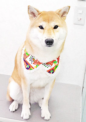 玖須ルビーちゃん