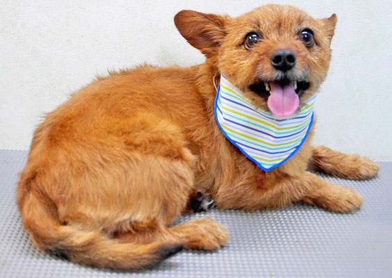 助村るぅちゃん