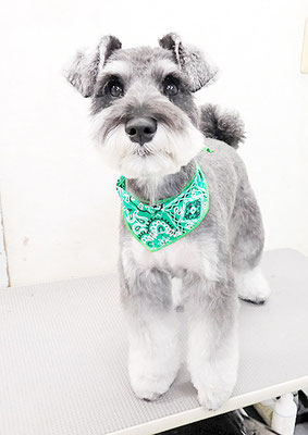 糸山そらちゃん