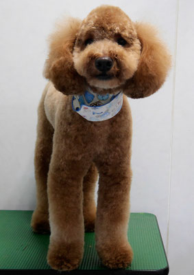 奥平ランマルちゃん