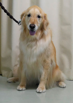 美代ジューンちゃん