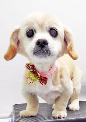 濵平メルちゃん