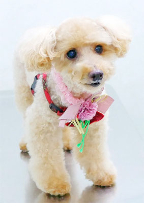 尾迫レオちゃん