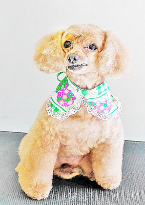 森崎ネネちゃん