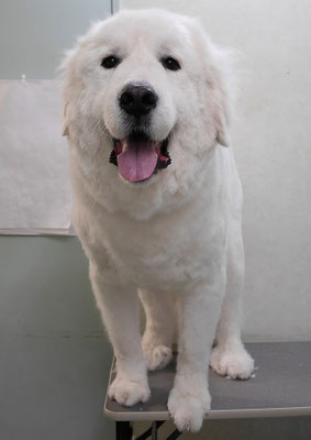 濱田ミルクちゃん