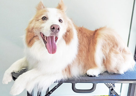 森本アンズちゃん